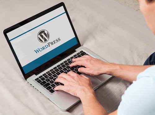 使用WordPress构建电子商务网站的具体方法